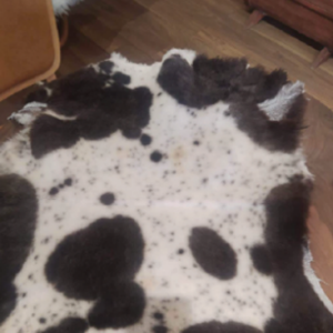 animal 3 rl2pxwm93vy6k1e8xwifg5q0qmnsvcwxi5ajqoh77c