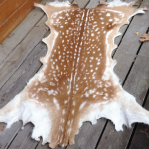 animal 5 rl2pyugfxx8i6013gb4zxx6m4i10kgn9mss10n30zc