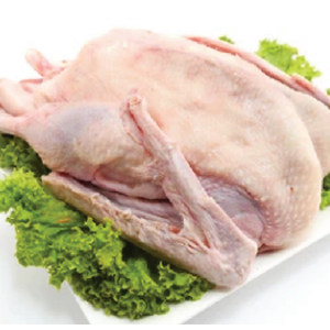 chk9 rl4d540osxeqfdp874mgucu8di7x9pniimvbs8inco