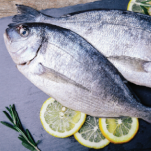 fish 14 rl2n323zbh5q80schy2z4m1ctvkznlm8d3kydqyy0o