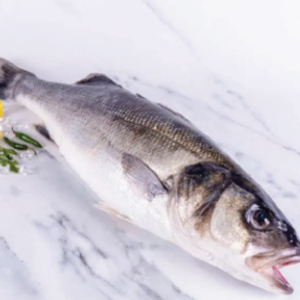 fish 15 rl2n3jywxbu6cm2elnsvxzj4474ypul4rjz6i08gqg