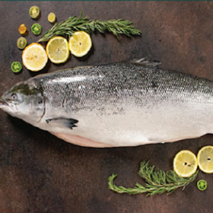 fish 16 rl2n4ht3rd4hykp942fgfqzpi2i6eybgw7gnryuaig