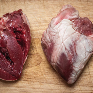 lb2 rl35a4ss9vwngr96bltvbt10m0sx1r7vff1zsxonnc