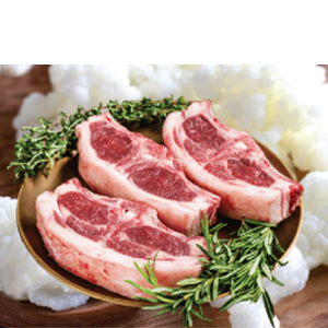 lamb 4 rl33g1r9s7fx7p8v7jh4izdd3siwvtv8obw25lo33s