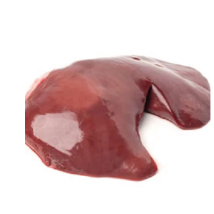 lambf1 rl35a3uy31vd55ajh3f8rb9k0mxju2453aeibnq1tk