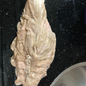 lb11 rl35ae76689iouvispw50qnmjvil6q96spkulpapx4