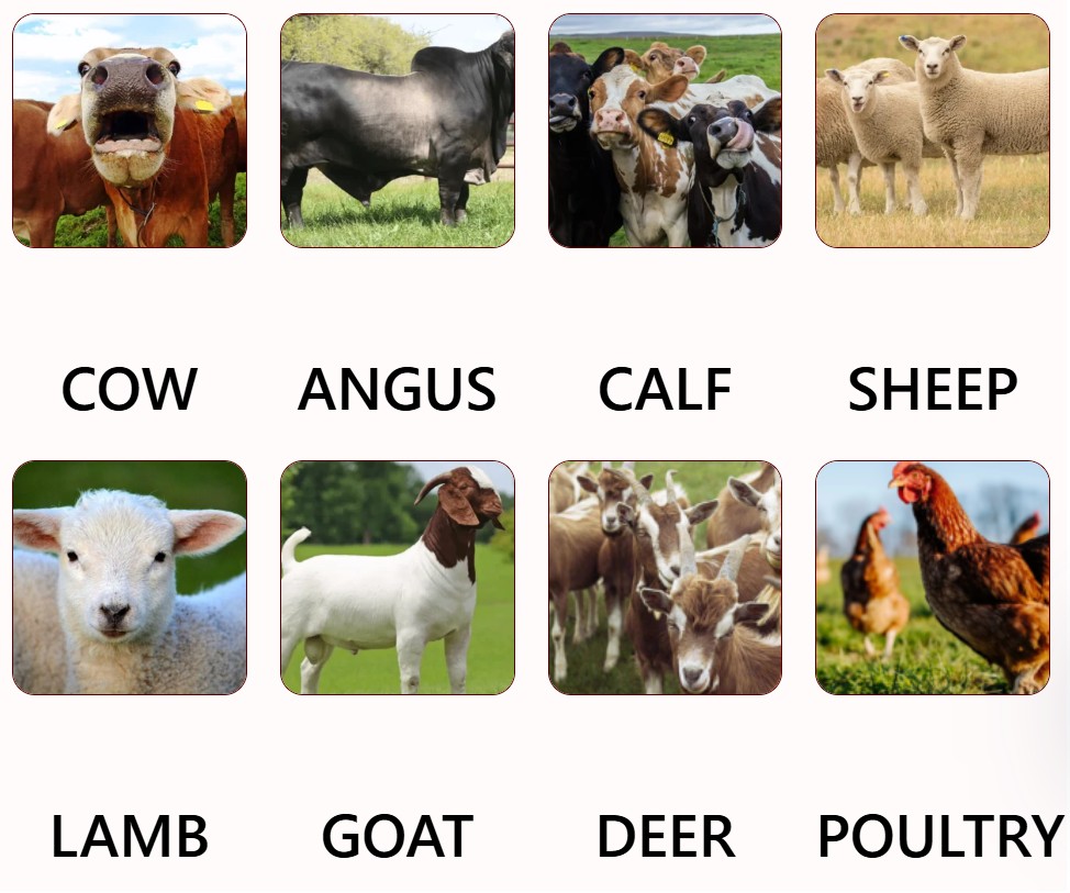 screenshot 2026 04 14 131428