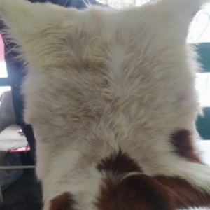 untitled 3 rl2oifycxfi0wm5cg5orfn8hw6bcfxlzffgiuas5vc