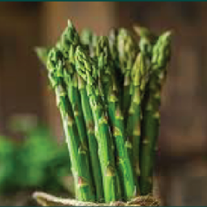 veg 1 rl2sgpsxdo9g7thko5mvc8r6sr2einfdbm9av1ty2g