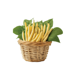 veg 3 rl2sh2yo1crgqcygjbbnb5fn459jievm1fe3kxafnc