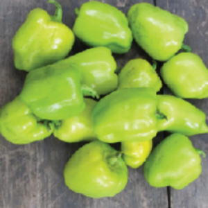 veg 5 rl2si5i1tk87ydeha9zcndpjgxzla04luq5099pak8