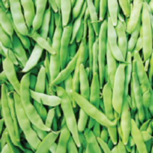 veg 9 rl2sjn2un49kc58nlf533i6tbwnigr1b23bom1hupk