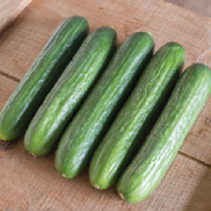 veg7 rl2siyn1pfc3ya85k4ksaoctvvzywmcaaqd24ui37c