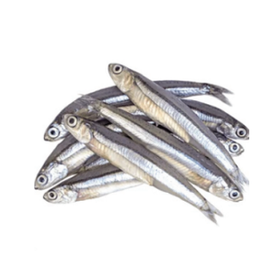 fish1 rl2mvtqoqd9aw1ajqbjbfxqoa58bffwl1avgg3ozw8