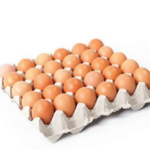 scsdvv rl3b7tfxy0fatgv6jz0m5vte7fkuwnj4t23rdgup4o