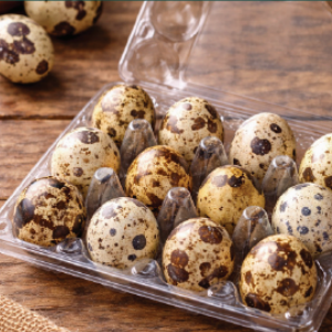 ssdv rl3b7w9giij5sar33i8hvd3rzl6yjqubtg27taqim0