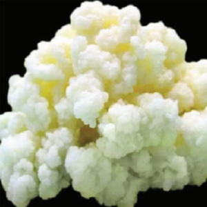 svsv rl3b7y54w6lqfiocsj1r0cmp6cxoz51shpd6runq9k