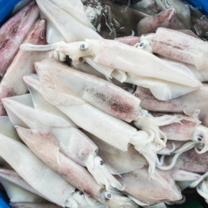 Mauritania Seafood