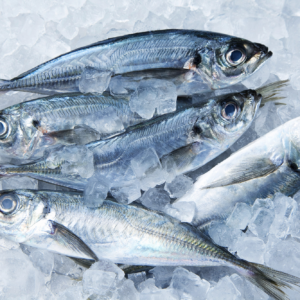horse mackerel